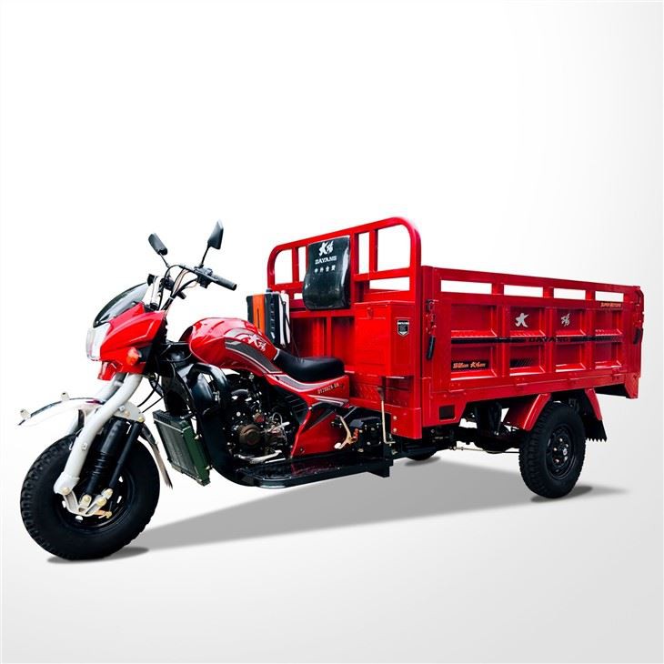 Cargo Delivery Three Wheel Motorcycle OEM
