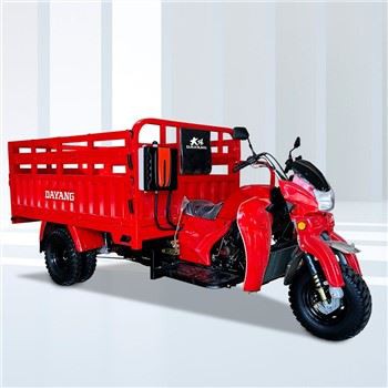 Възрастен товарен триколка 250CC