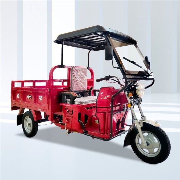 3 Wheel Cargo Motor
