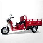 Triciclo Motorizado De Carga