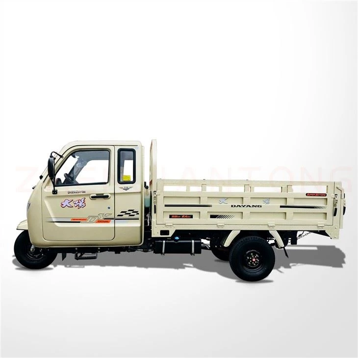 1000cc Three Wheel Cargo Moto