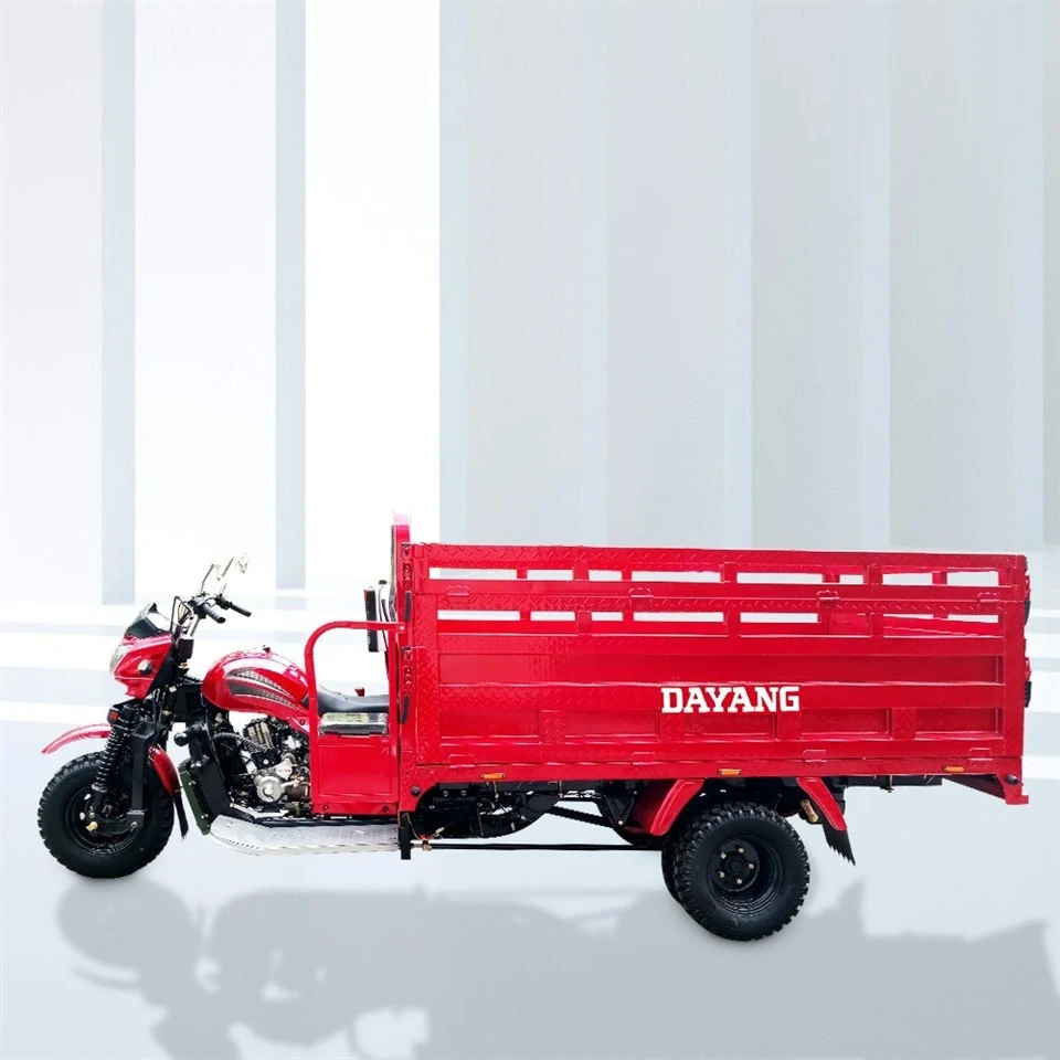 New Design Gasoline Motorcycle Cargo Tricycle