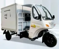 DY-B2 Голяма товарна кутия Полукабина Триколка за пренасяне на храна